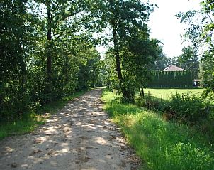 Landweggetje omgeven door bomen nabij Huisje in Jistrum, Friesland.