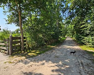 Toegangsweg naar Huisje in Jistrum met landelijke charme en groene natuur.