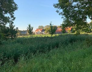 Uitzicht op de groene omgeving bij Huisje in Pingjum, vakantiehuis in Friesland.