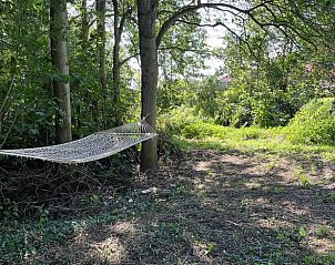 Hangmat in de tuin van Huisje in Pingjum, vakantiehuis in Friesland.