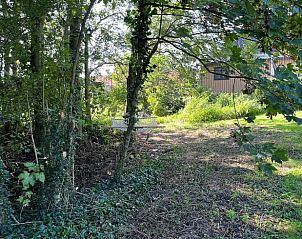 Schaduwrijke tuin met hangmat bij Huisje in Pingjum, vakantiehuis in Friesland.