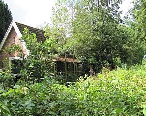 Unterkunft 264603 • Ferienhaus Het Friese platteland • Huisje in Twijzelerheide 