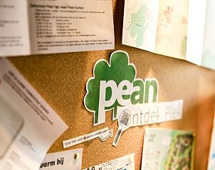 Guest house 265119 - Holiday property Het Friese platteland - Huisje in Nes (gem Heerenveen)