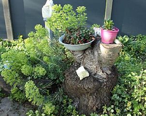 Guest house 266201 - Bed and Breakfast Zuid-Beveland - B & B Boezeneren