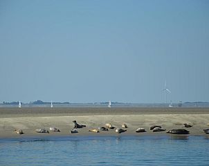 Guest house 266201 - Bed and Breakfast Zuid-Beveland - B & B Boezeneren