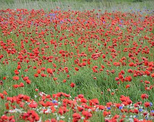 Guest house 266201 - Bed and Breakfast Zuid-Beveland - B & B Boezeneren