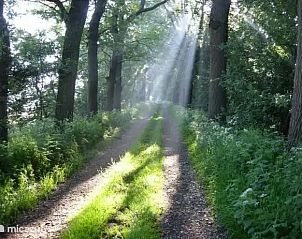 Unterkunft 266505 - Ferienhaus Het Friese platteland - NoStress