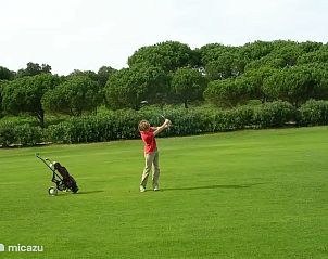 Unterkunft 266505 - Ferienhaus Het Friese platteland - NoStress