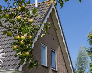 Luchtfoto van vakantiehuis FR115 in Noardburgum met terras en tuin.