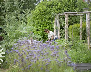 Bloeiende tuin bij vakantiehuis FR115 in Noardburgum, ideaal voor natuurliefhebbers.