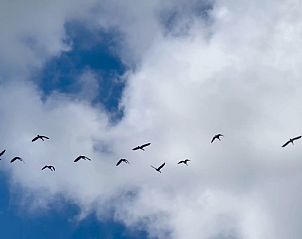 Unterkunft 266908 - Ferienhaus Het Friese platteland - Vrijstaande woning in Noardburgum
