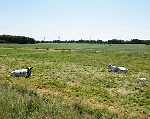 Verblijf 266915 - Vakantiewoning Het Friese platteland - Vrijstaande woning in Noardburgum