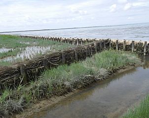 Natuurlijke waterkering in de buurt van Vakantiehuis in Jannum, Friesland.