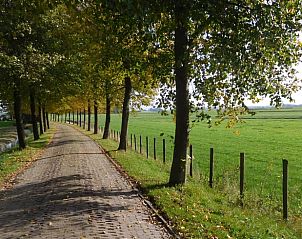 Lommerrijke laan nabij Huisje in Jannum, vakantiehuis op het Friese platteland.