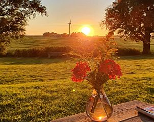 Bloemenvaas op terras van Huisje in Jannum, vakantieverblijf met uitzicht op Friese natuur.