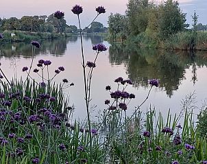 Verblijf 267016 - Vakantiewoning Het Friese platteland - Huisje in Jannum bij Dokkum