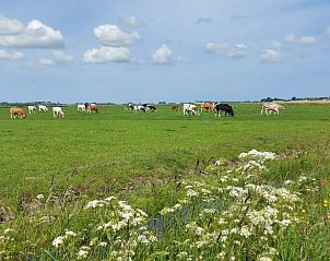 Verblijf 267017 - Vakantiewoning Het Friese platteland - Vakantiehuisje in Jannum bij Dokkum