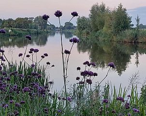 Verblijf 267017 - Vakantiewoning Het Friese platteland - Vakantiehuisje in Jannum bij Dokkum