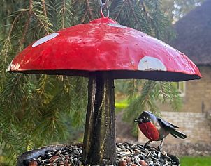 Guest house 268205 - Holiday property Het Friese platteland - Huisje in Zandhuizen