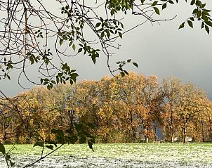 Guest house 268205 - Holiday property Het Friese platteland - Huisje in Zandhuizen