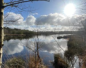 Guest house 268205 - Holiday property Het Friese platteland - Huisje in Zandhuizen