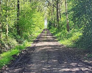 Unterkunft 268301 - Ferienhaus Het Friese platteland - Huisje in Nijeberkoop