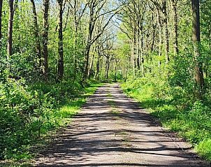 Unterkunft 268301 - Ferienhaus Het Friese platteland - Huisje in Nijeberkoop