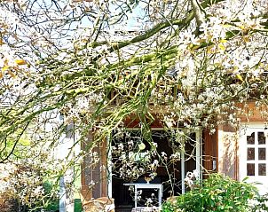 Unterkunft 268302 • Ferienhaus Het Friese platteland • Vakantiehuisje in Nijeberkoop 