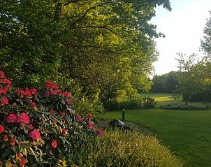 Unterkunft 268402 - Ferienhaus Het Friese platteland - Vakantiehuis in Fochteloo