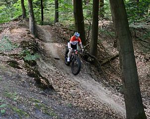 Unterkunft 268402 - Ferienhaus Het Friese platteland - Vakantiehuis in Fochteloo