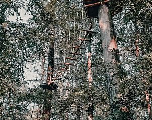 Unterkunft 268402 - Ferienhaus Het Friese platteland - Vakantiehuis in Fochteloo