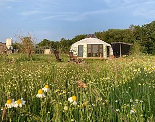 Verblijf 268403 • Vakantiewoning Het Friese platteland • Huisje in Fochteloo 