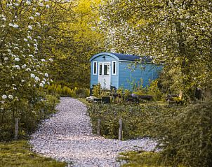 Charmant vakantiehuisje in Waskemeer omringd door het groene Friese platteland, ideaal voor een rustgevende verblijfservaring.
