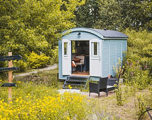 Gezellig vakantiehuisje in Waskemeer op het Friese platteland, omringd door natuur en bloemen voor een ontspannen verblijf in Friesland.
