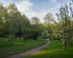 Verblijf 268504 - Vakantiewoning Het Friese platteland - Vakantiehuisje in Waskemeer