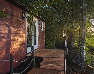 Veranda van Vakantiehuis in Waskemeer, gelegen op het Friese platteland, omgeven door weelderige natuur en rustieke charme.