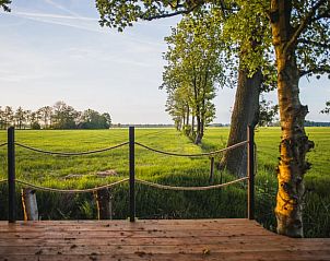 Geniet van het serene uitzicht op het Friese platteland vanaf de veranda van Vakantiehuis in Waskemeer, Friesland.