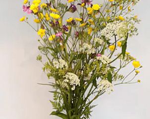 Vaas met wilde bloemen in Vakantiehuisje in Jelsum, Friesland, een vleugje natuurlijke schoonheid.