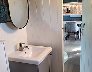 Badkamer in Vakantiehuis in Jelsum met moderne wastafel en voorzieningen.