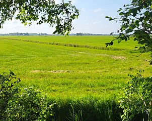 Uitzicht over groene velden vanuit Vakantiehuis in Jelsum, Friesland.