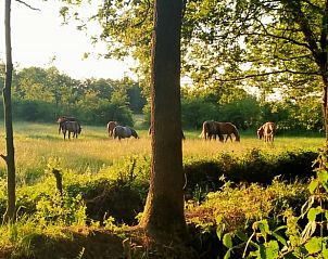 Zonsondergang over de velden bij Vakantiehuisje in Kollumerzwaag, Friesland.