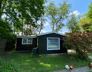 Gezellig vakantiehuisje in Kollumerzwaag met groene tuin en bomen.