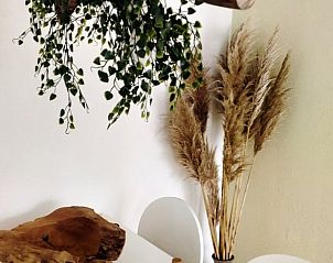 Natuurlijke decoraties in de eetruimte van Vakantiehuisje in Kollumerzwaag, Friesland.