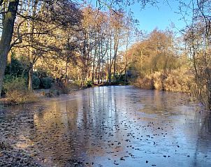 Bevroren vijver in de winter bij Vakantiehuisje in Kollumerzwaag, Friesland.
