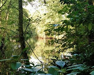Rustgevend uitzicht op het water vanuit Vakantiehuis in Kollumerzwaag, Friesland, omgeven door bomen.