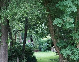 Bospad bij Vakantiehuis in Kollumerzwaag, Friesland, ideaal voor wandelingen in de natuur.
