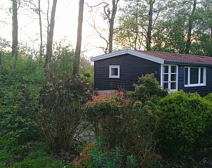 Vakantiehuis in Kollumerzwaag, Friesland, bij zonsondergang omgeven door weelderige natuur.