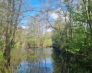 Vredige waterpartij bij Vakantiehuis in Kollumerzwaag, Friesland, omringd door groene bomen.