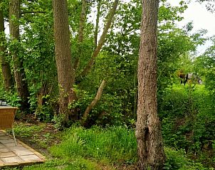 Veranda bij Vakantiehuis in Kollumerzwaag, Friesland, met uitzicht op de omliggende natuur.