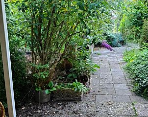 Verblijf 268923 - Vakantiewoning Het Friese platteland - Huisje in Kollumersweach